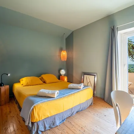 Sublime 180° D'avignon Ventoux Alpilles Вилла Вильнёв-ле-Авиньон